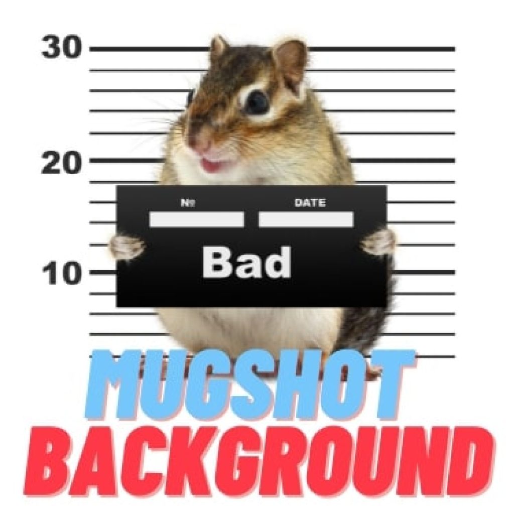 Mugshot Background