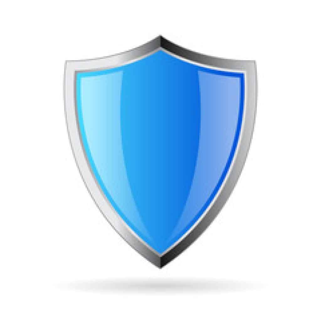 protection shield icon