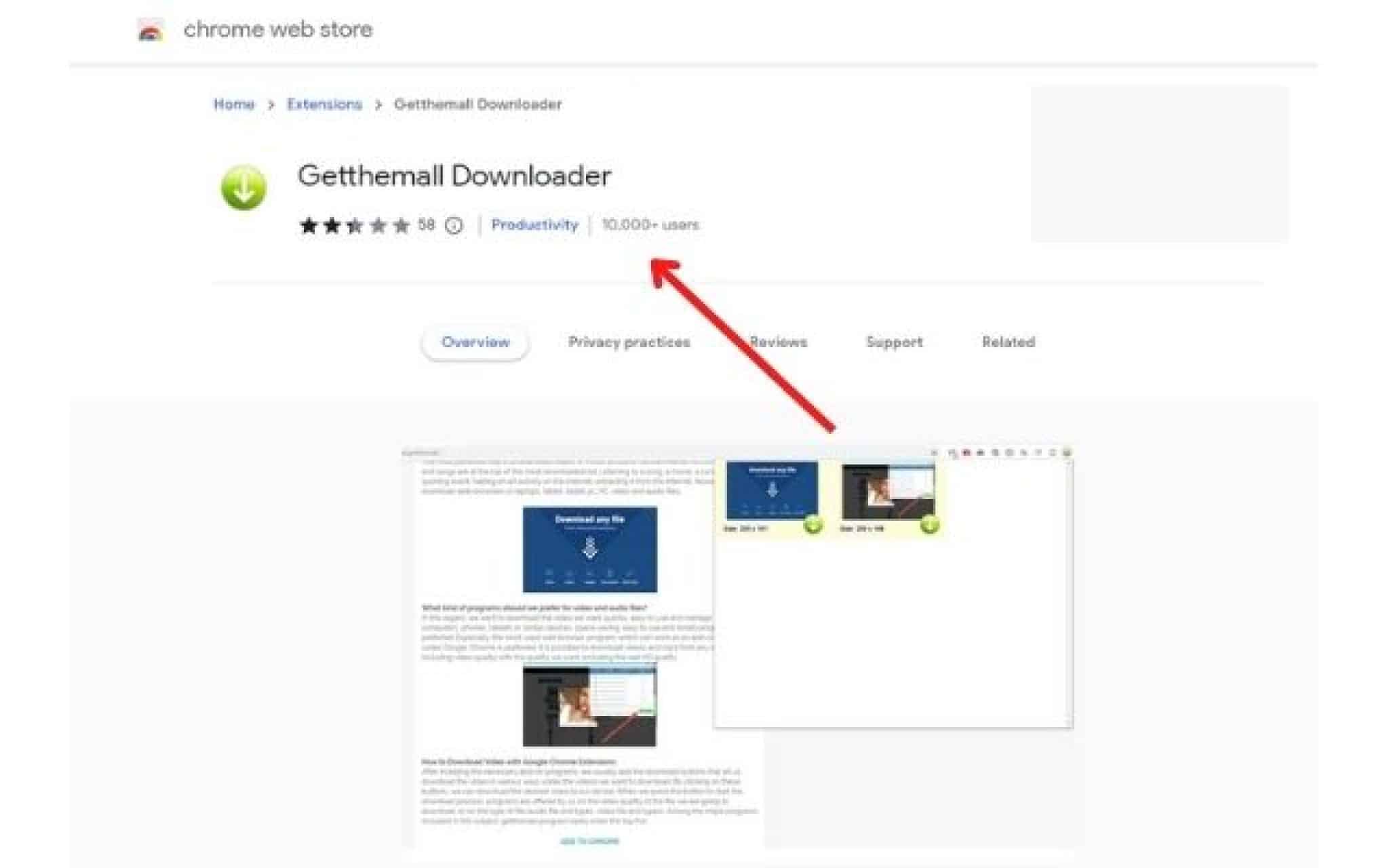 video downloader getthemall